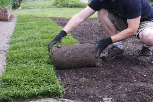 Hydroseeding and Turf Laying by R&D Lawn Care And Landscaping - Photo 3