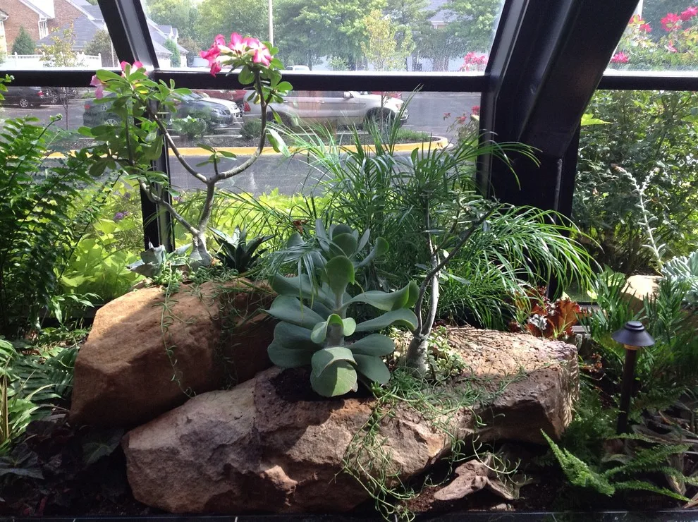 Interior Greenery by Landscapes By Dallas Foster, Inc - Photo 7