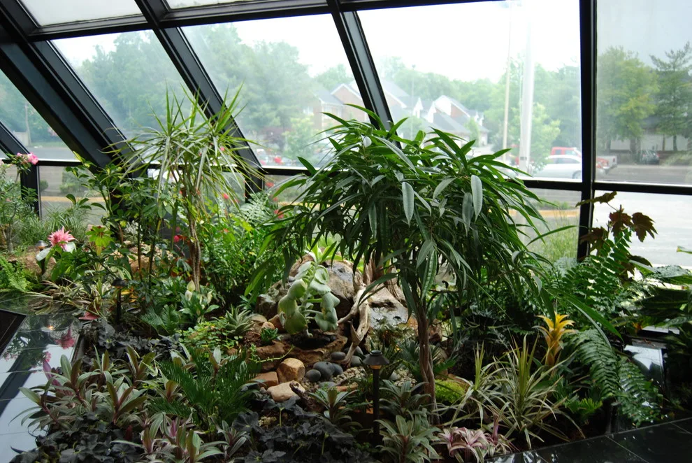 Interior Greenery by Landscapes By Dallas Foster, Inc - Photo 10
