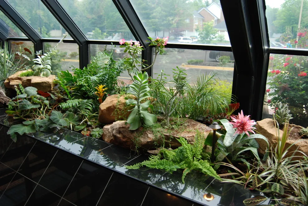 Interior Greenery by Landscapes By Dallas Foster, Inc - Photo 4
