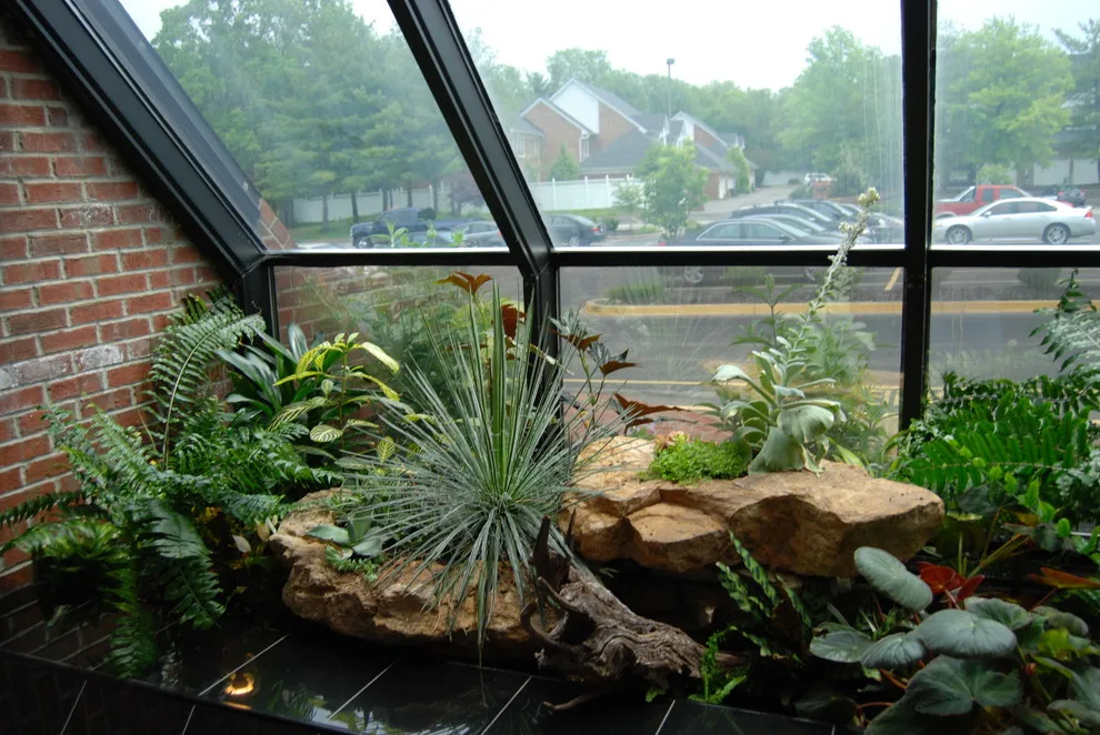 Interior Greenery by Landscapes By Dallas Foster, Inc - Photo 9