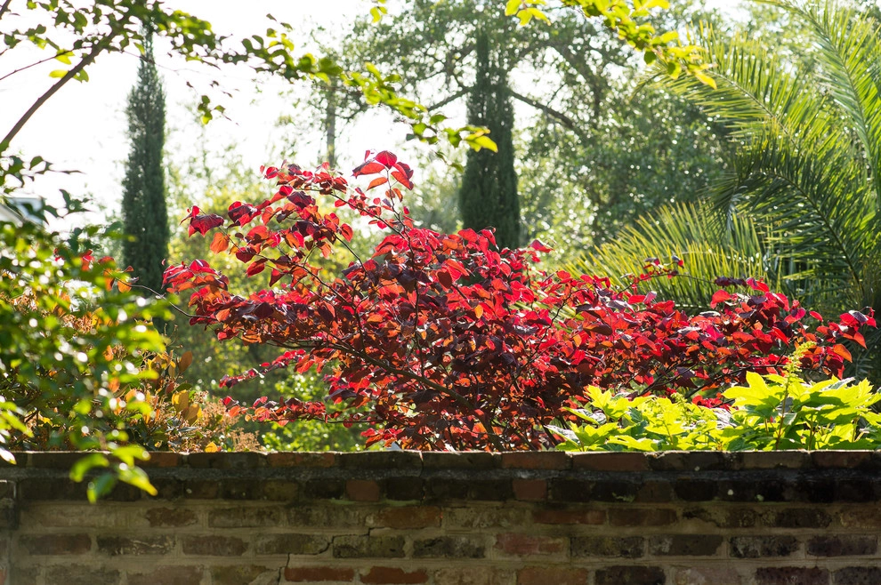 Formal Roots by Carolina Landscape, Inc. - Photo 8