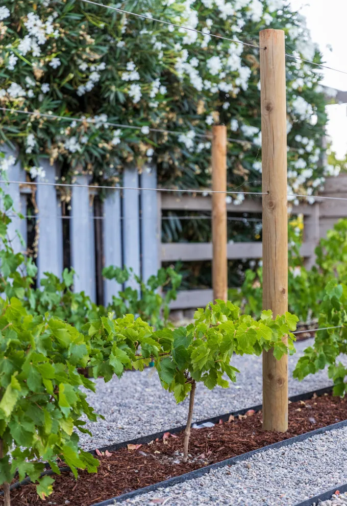 Kidd Initiative by AAA Landscaping LLC - Photo 22