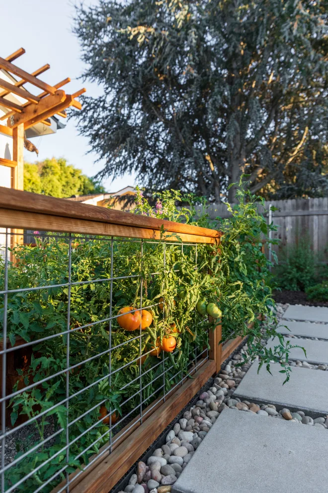 Kidd Initiative by AAA Landscaping LLC - Photo 5
