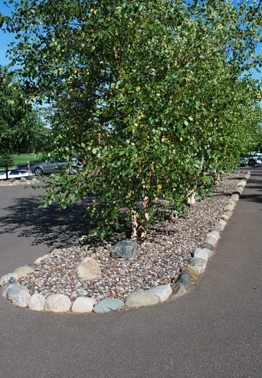 Quarry King Designs by MK Landscape Company - Photo 3