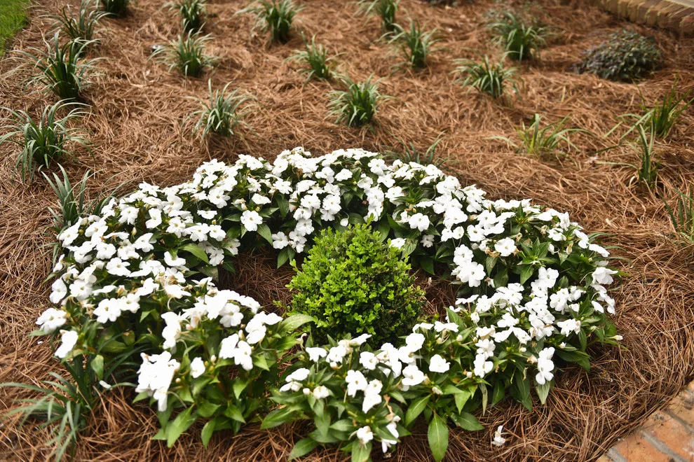 Kingswood Project by Bay Landscaping, Inc. - Photo 22
