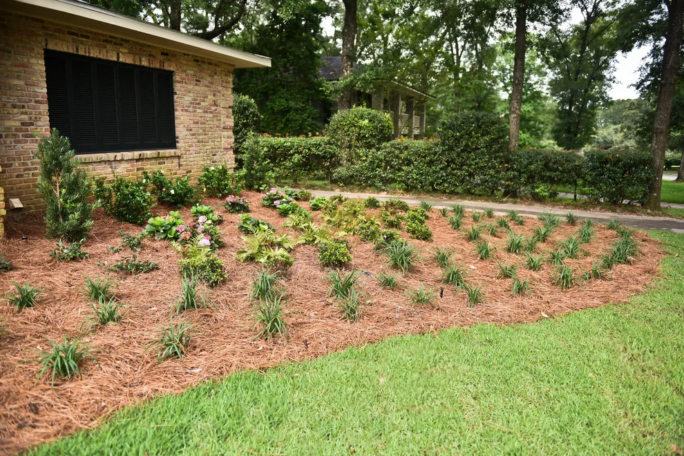 Kingswood Project by Bay Landscaping, Inc. - Photo 26
