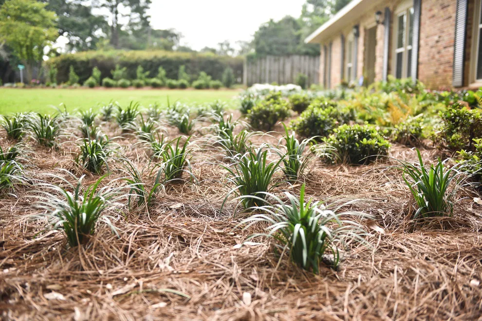 Kingswood Project by Bay Landscaping, Inc. - Photo 21