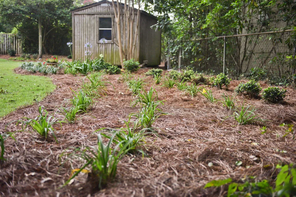 Kingswood Project by Bay Landscaping, Inc. - Photo 9