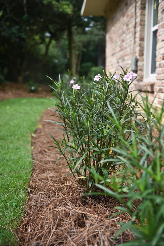 Kingswood Project by Bay Landscaping, Inc. - Photo 18