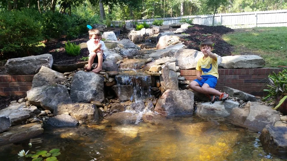 Aiken SC Waterfall and Stream Koi Pond by McCormick Landscaping / Aquatic Solutions - Photo 3