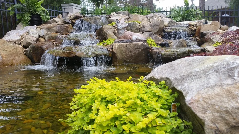 McCormick Landscaping / Aquatic Solutions - Photo 6