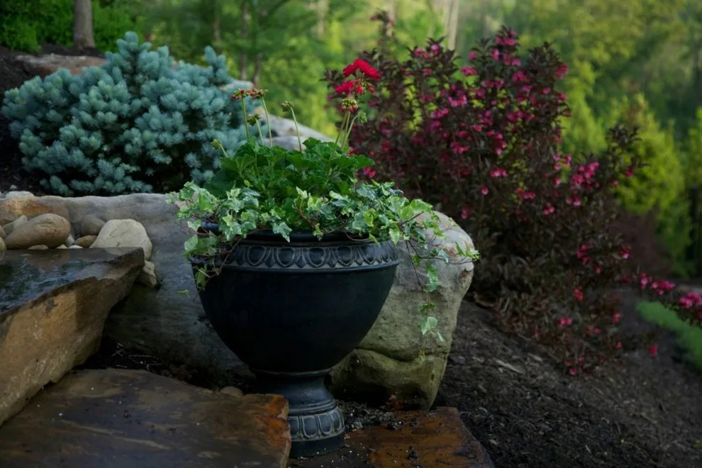 Fox Lady Gardening and Care by Blue Fox Landscape Design Inc - Photo 13