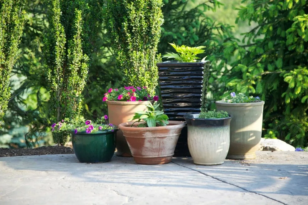 Fox Lady Gardening and Care by Blue Fox Landscape Design Inc - Photo 17