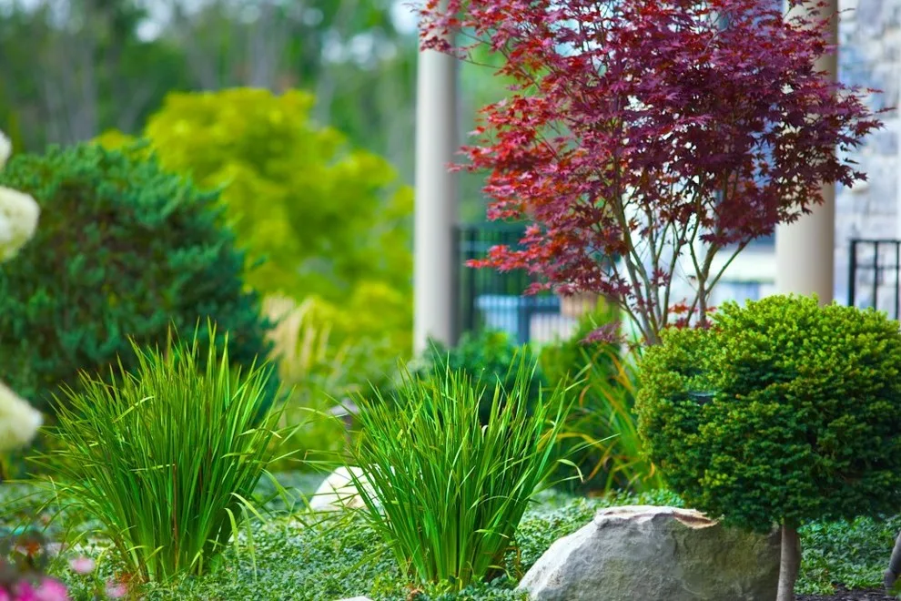 Fox Lady Gardening and Care by Blue Fox Landscape Design Inc - Photo 15