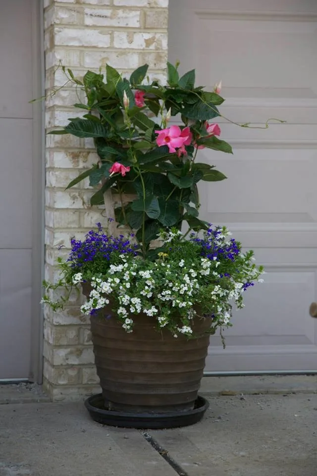 Blue Fox Landscape Design Inc - Photo 7