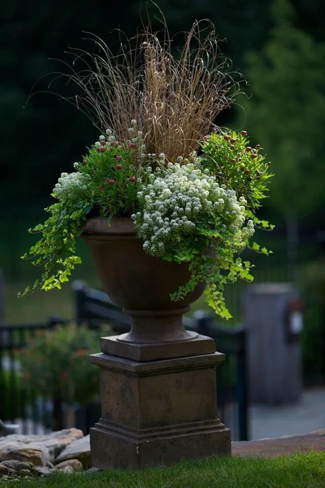 Fox Lady Gardening and Care by Blue Fox Landscape Design Inc - Photo 9