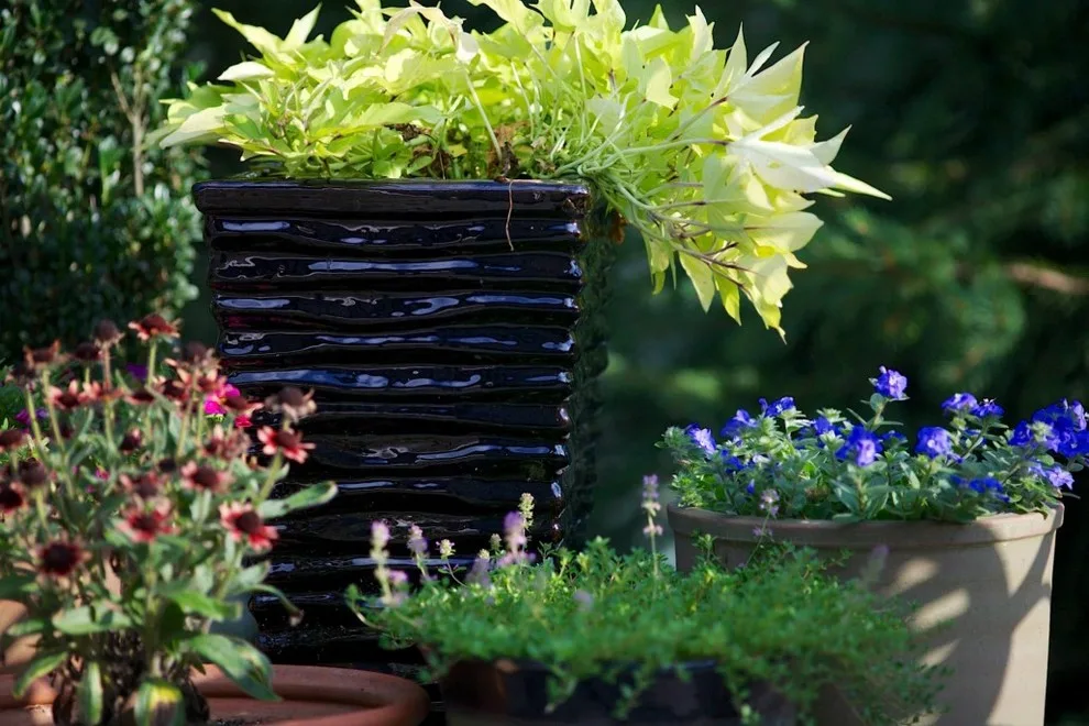 Fox Lady Gardening and Care by Blue Fox Landscape Design Inc - Photo 10