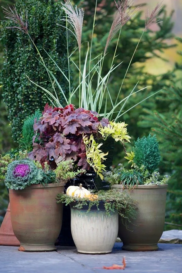 Fox Lady Gardening and Care by Blue Fox Landscape Design Inc - Photo 11