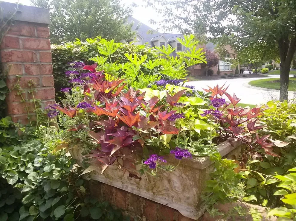 Fox Lady Gardening and Care by Blue Fox Landscape Design Inc - Photo 6