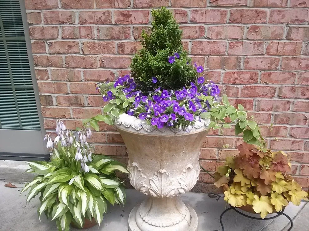 Fox Lady Gardening and Care by Blue Fox Landscape Design Inc - Photo 2