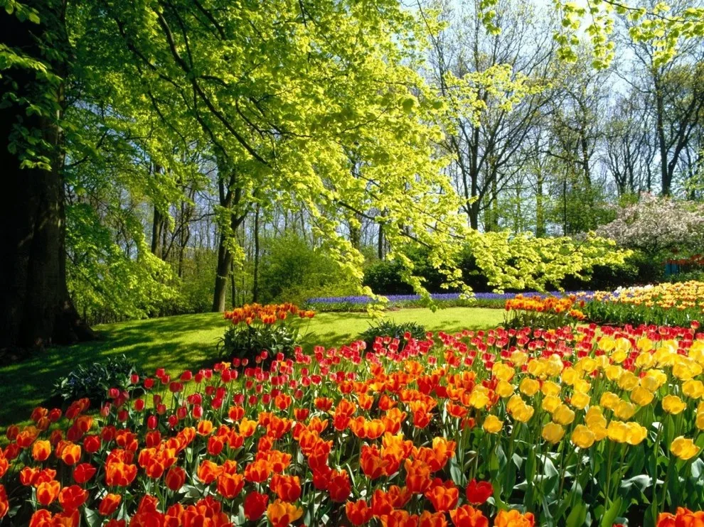 Fox Lady Gardening and Care by Blue Fox Landscape Design Inc - Photo 5
