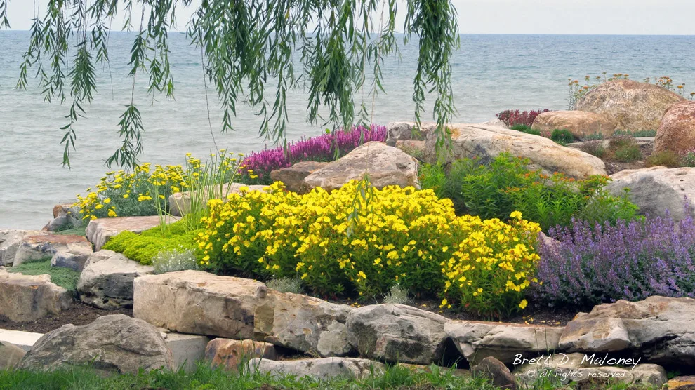 Lakeshore Viewpoint by Brett Maloney Landscapes, LLC - Photo 6