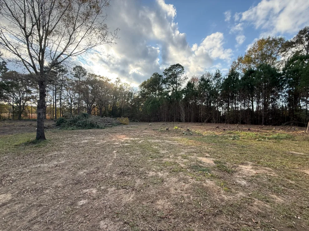 SV Land Clearing - Photo 2