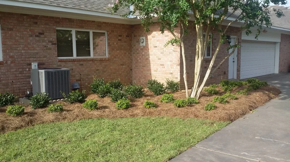 Louisiana Horticulture Services - Photo 2