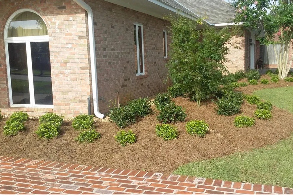 Louisiana Horticulture Services - Photo 4