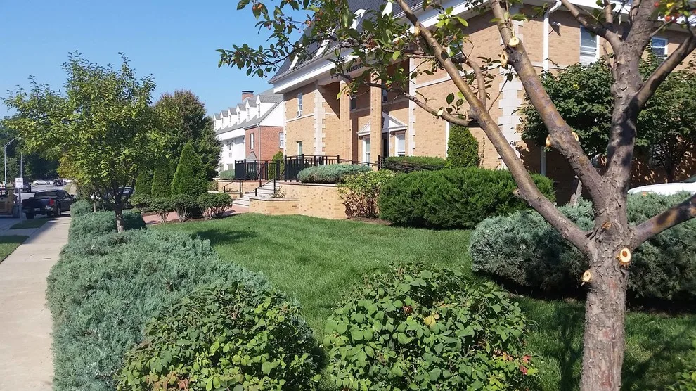 Voss Landscape & Tree Service - Photo 13