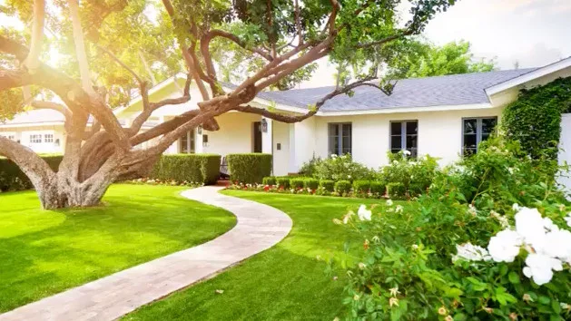 T&F Landscaping LLC - Photo 3
