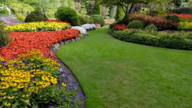 T&F Landscaping LLC - Photo 4