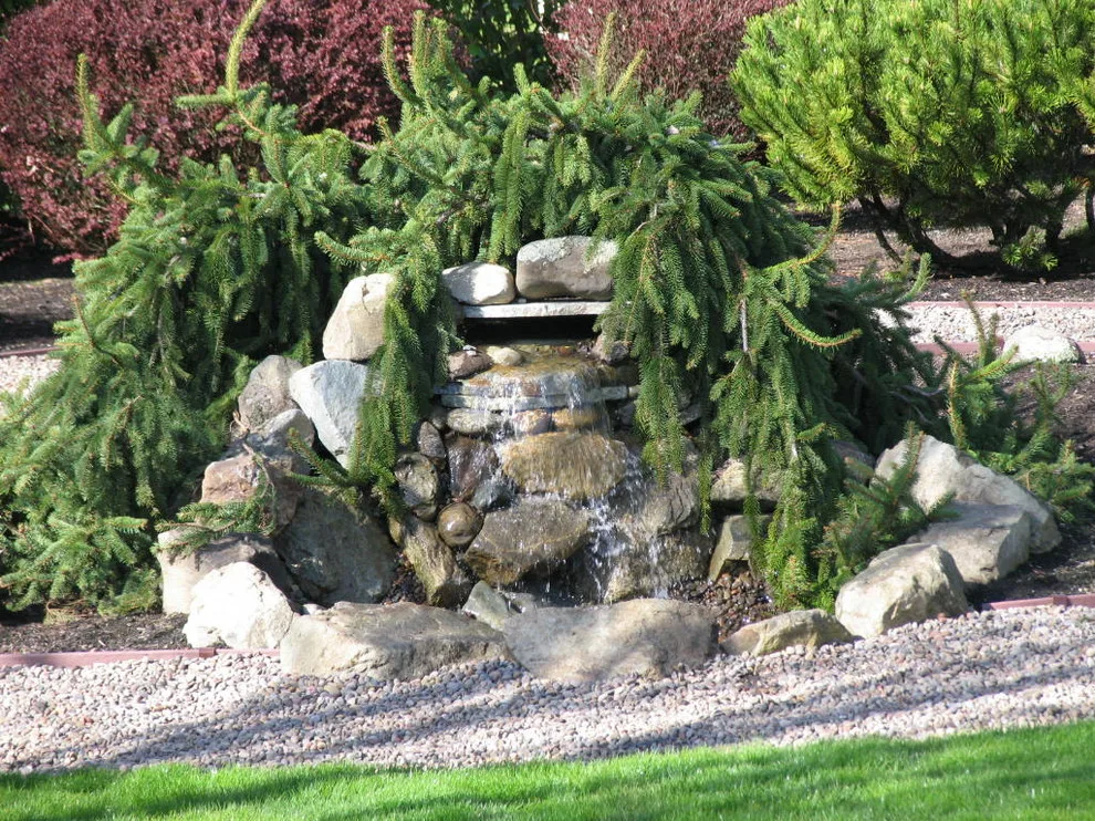 scenery by Gary Krause Landscaping And Desi - Photo 10