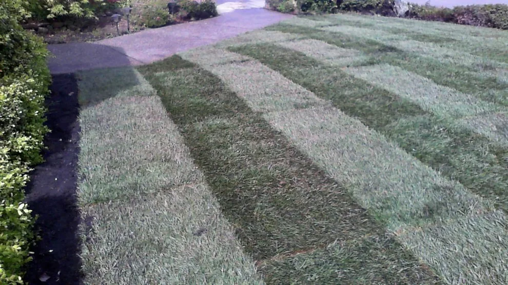 Gary Krause Landscaping And Desi - Photo 13