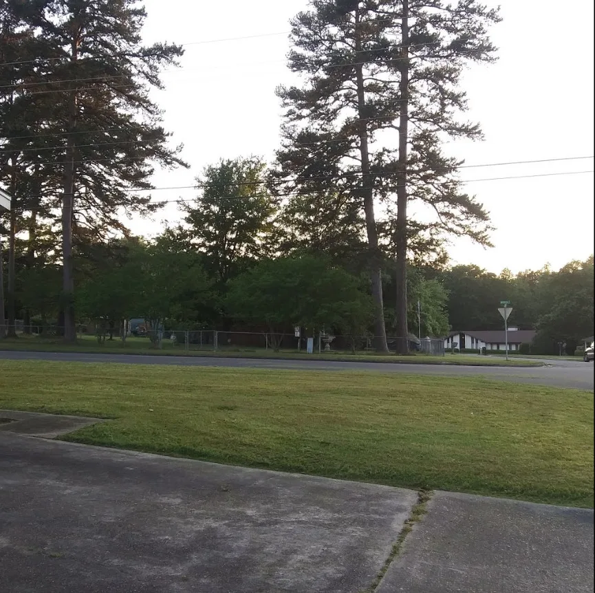 Marshall Lawn And Landscape - Photo 5