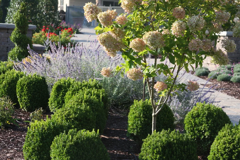 Paver Walkway Landscape and Hardscape Design by Landscape Outfitters Inc - Photo 24