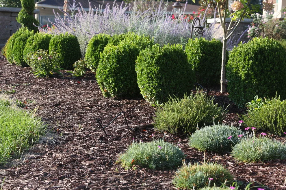 Paver Walkway Landscape and Hardscape Design by Landscape Outfitters Inc - Photo 30