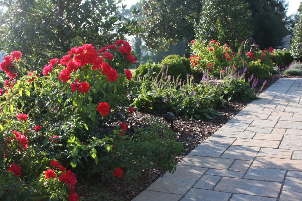 Paver Walkway Landscape and Hardscape Design by Landscape Outfitters Inc - Photo 48