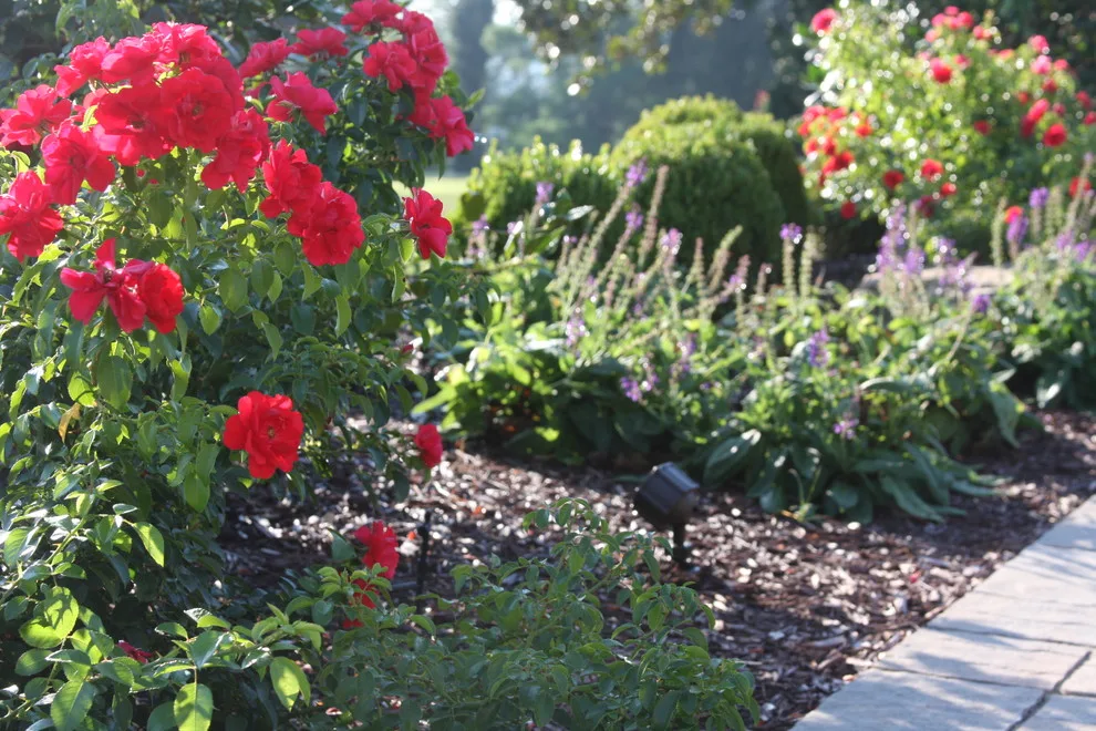 Paver Walkway Landscape and Hardscape Design by Landscape Outfitters Inc - Photo 34