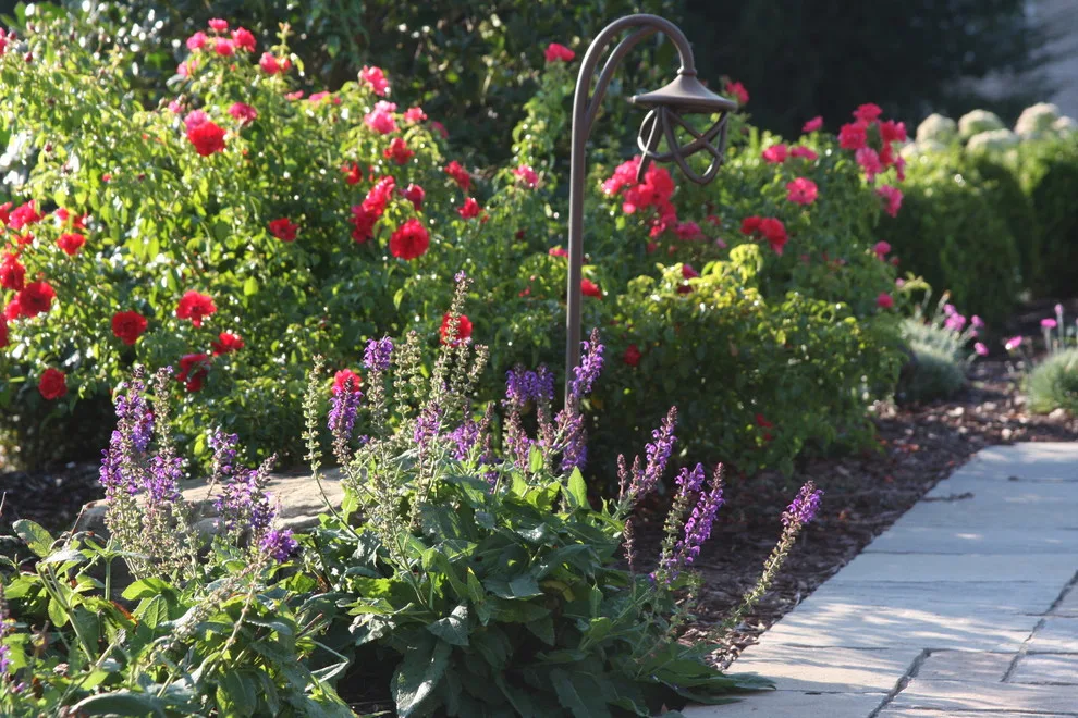 Paver Walkway Landscape and Hardscape Design by Landscape Outfitters Inc - Photo 32