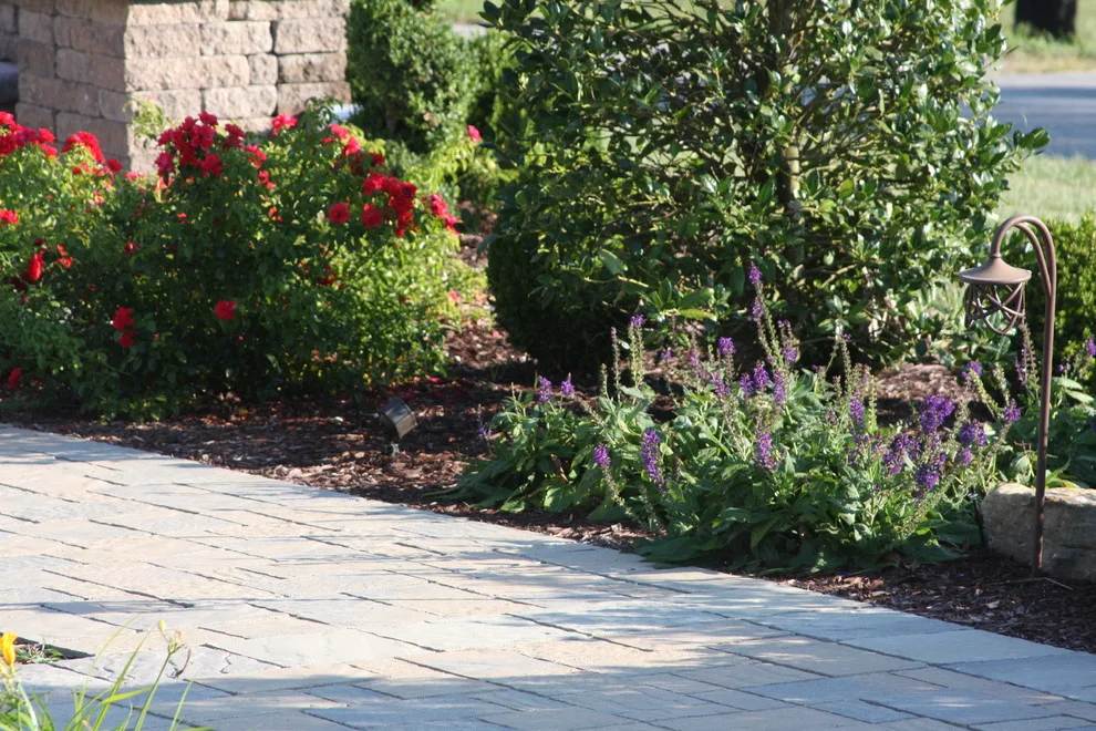 Paver Walkway Landscape and Hardscape Design by Landscape Outfitters Inc - Photo 11