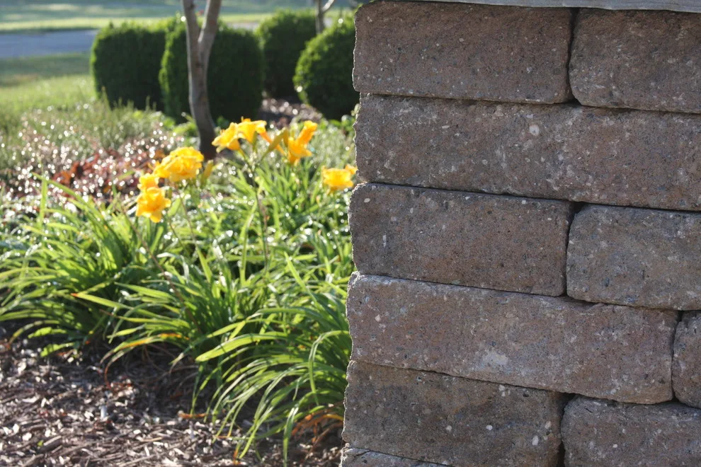 Paver Walkway Landscape and Hardscape Design by Landscape Outfitters Inc - Photo 5