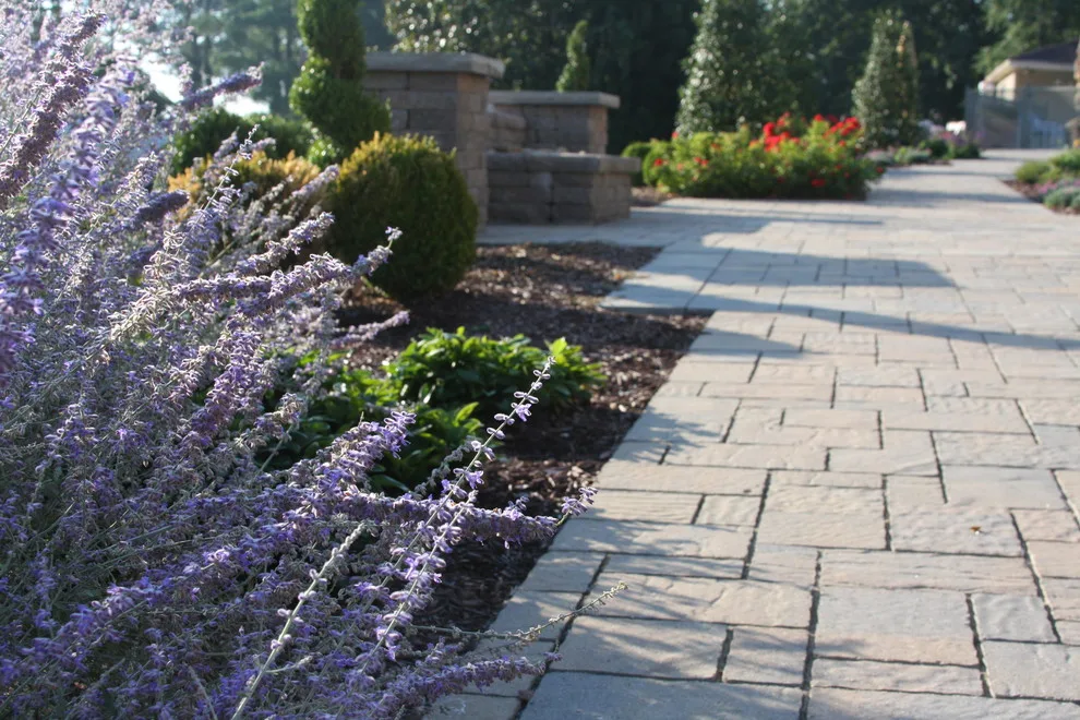 Paver Walkway Landscape and Hardscape Design by Landscape Outfitters Inc - Photo 6