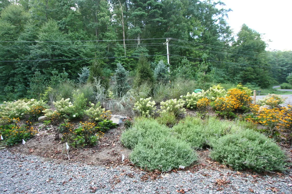 Watauga Lake Fire Pit and Embankment by Mountain View Nursery And Landscaping, LLC - Photo 4