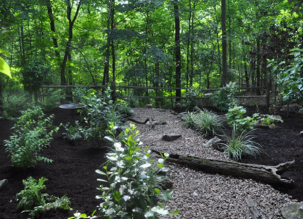 Poehlmann's Lawn & Landscape, LLC - Photo 9