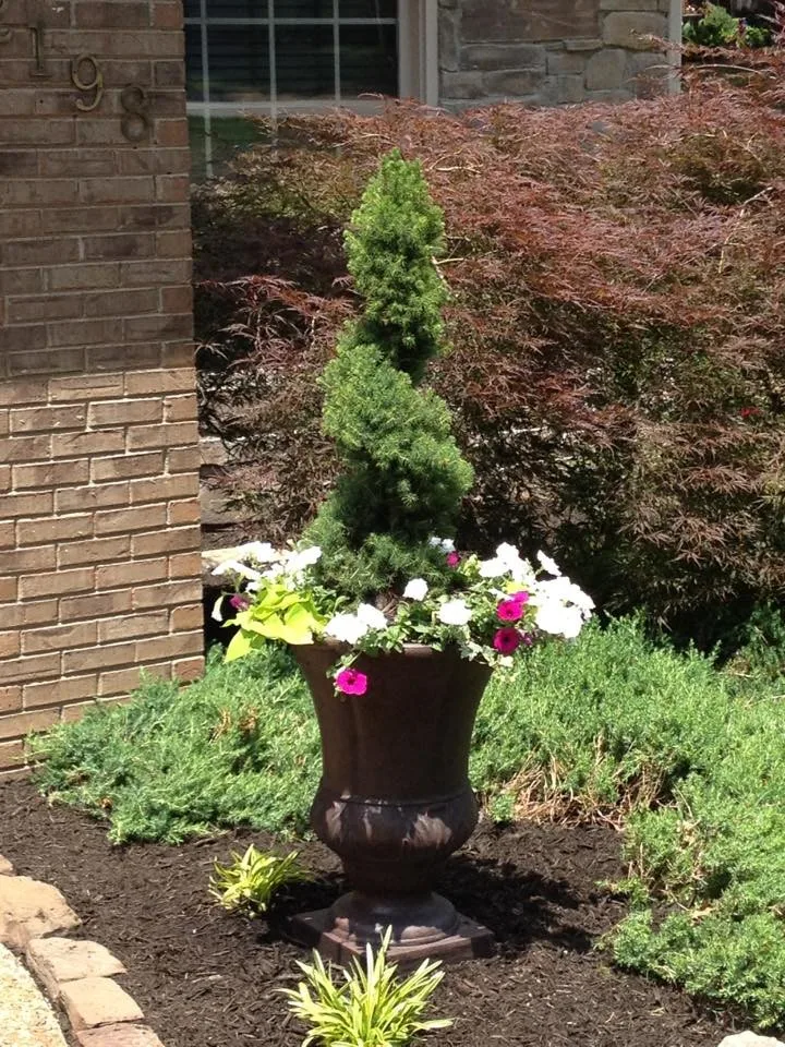 Scenic Art Collection by Hometown Lawns Landscape Management - Photo 25