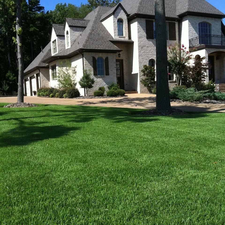 Scenic Art Collection by Hometown Lawns Landscape Management - Photo 15