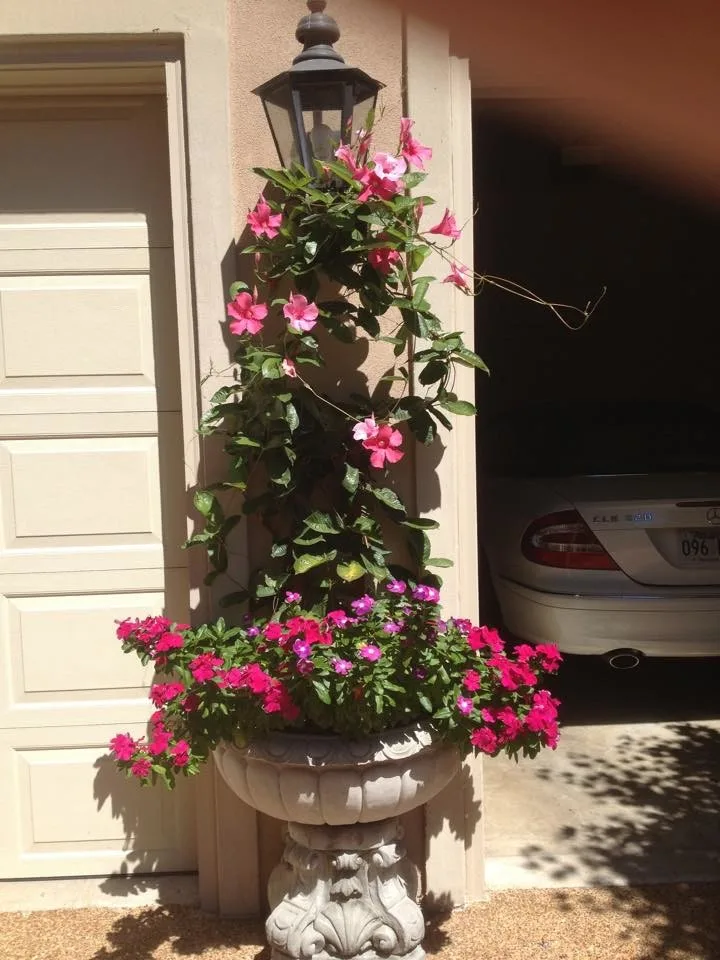 Scenic Art Collection by Hometown Lawns Landscape Management - Photo 9