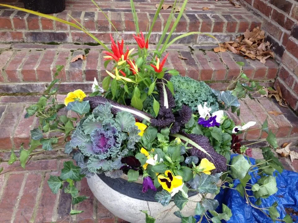 Scenic Art Collection by Hometown Lawns Landscape Management - Photo 27